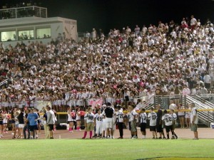 Desert vista fans